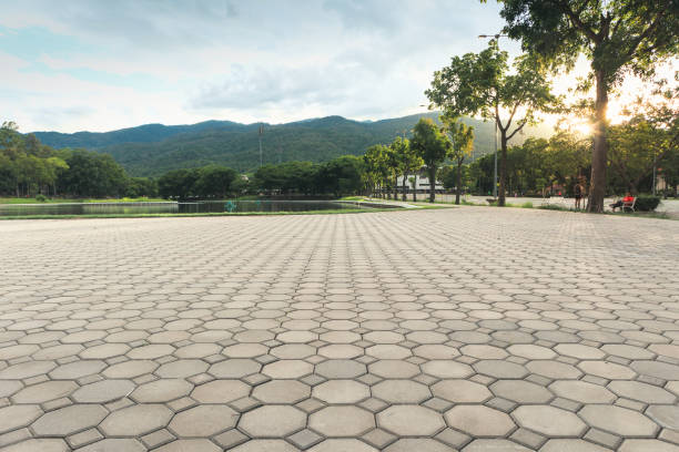 Best Affordable Driveway Pavers  in Combine, TX